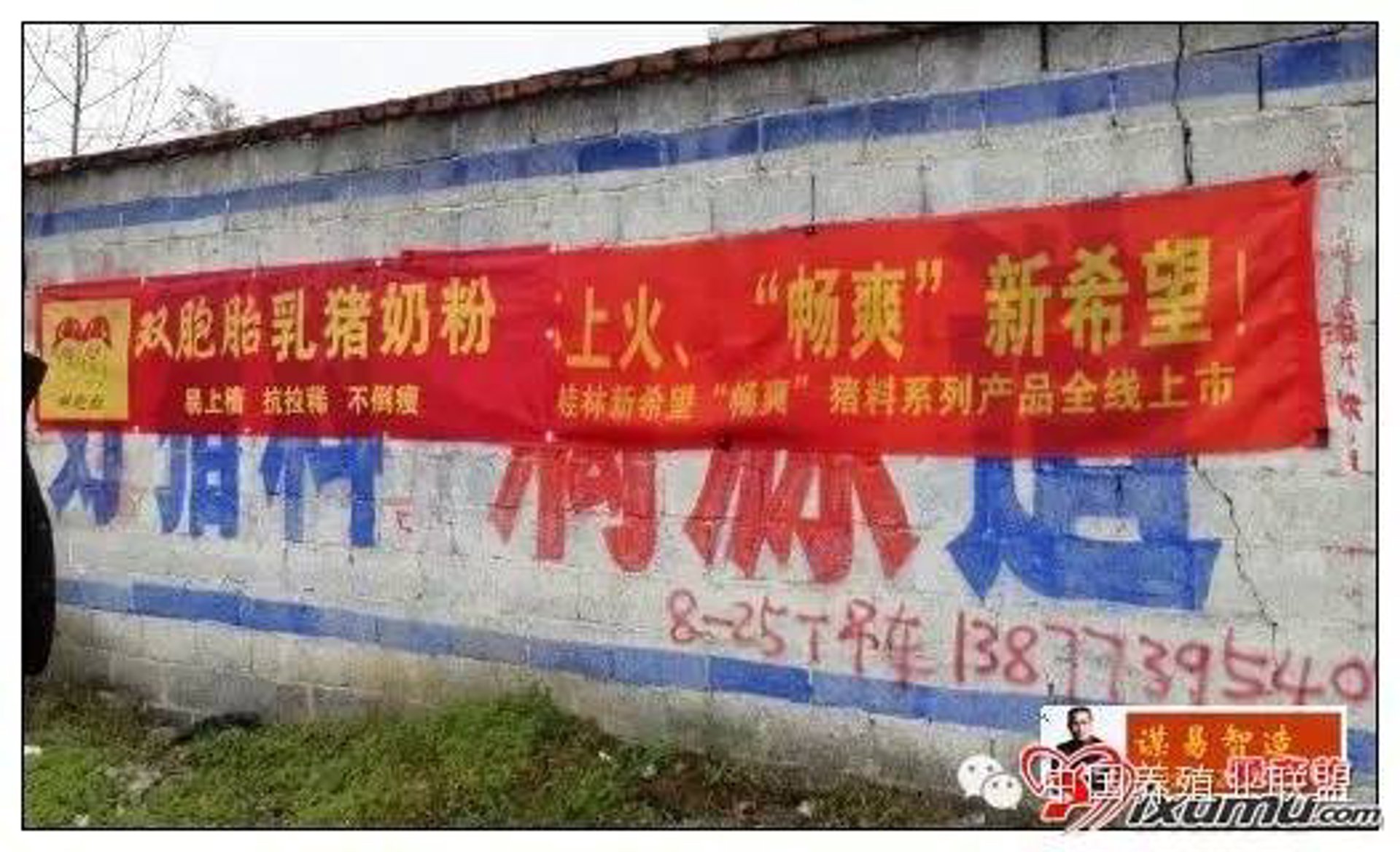 受振饲料